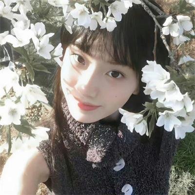 秋日奏鸣曲