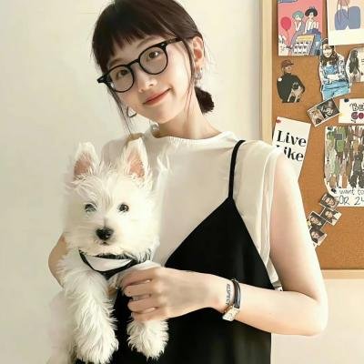 情圣粤语